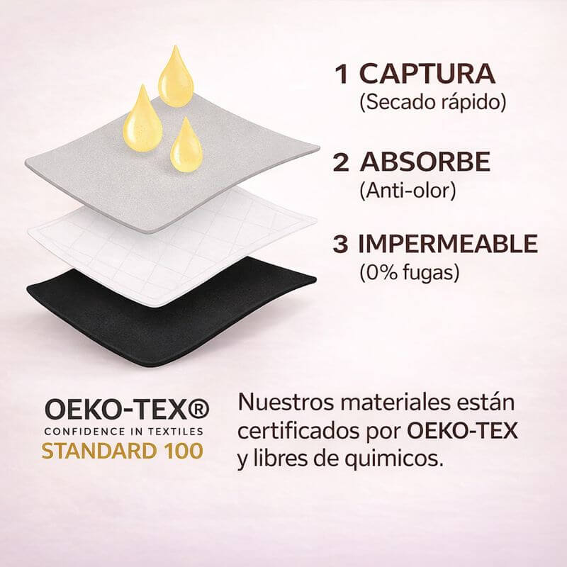 Encabezado